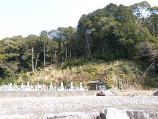 画像31